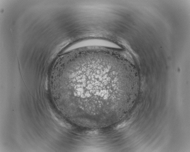 X0000088020068200706011335