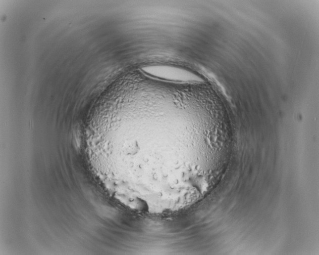 X0000088020069200706011335