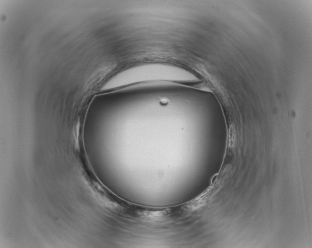 X0000088020070200706011335