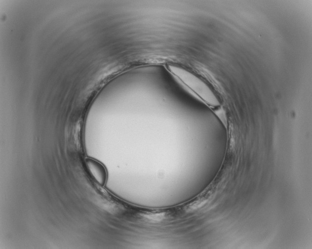 X0000088020071200706011335