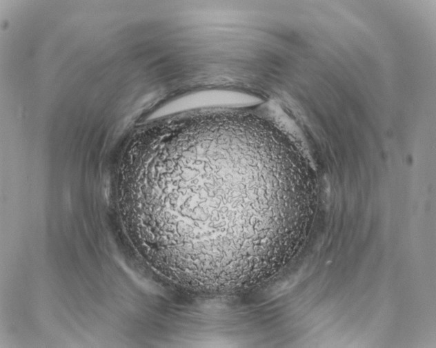 X0000088020072200706011335