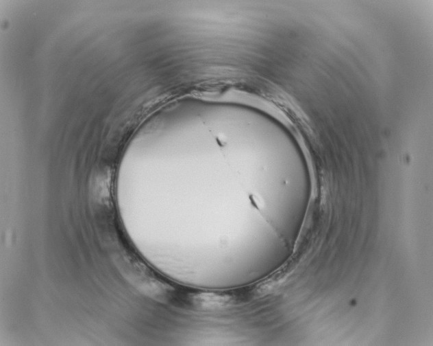 X0000088020073200706011335