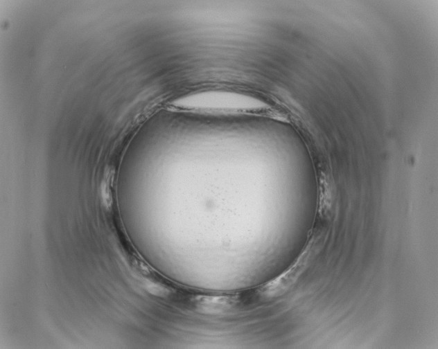 X0000088020074200706011335