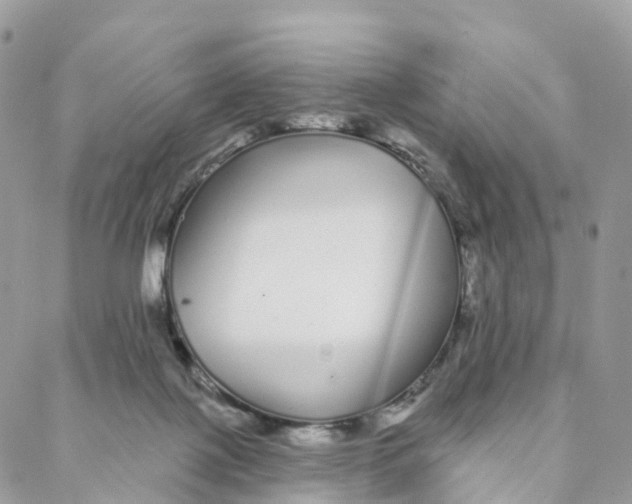 X0000088020075200706011335