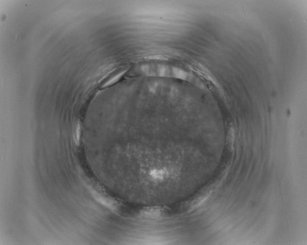 X0000088020076200706011335