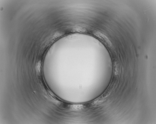 X0000088020077200706011335