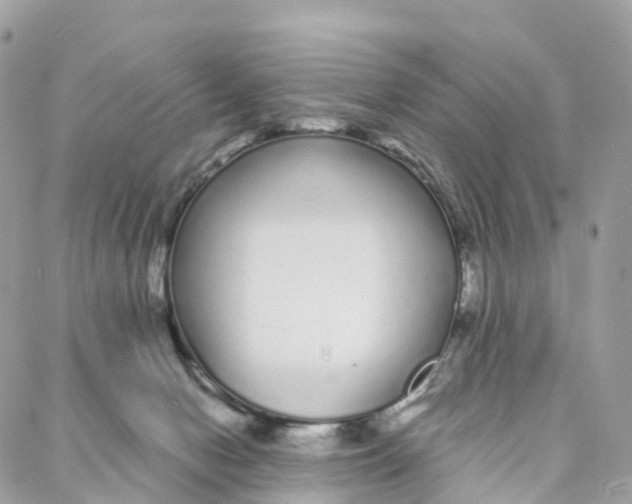 X0000088020078200706011335