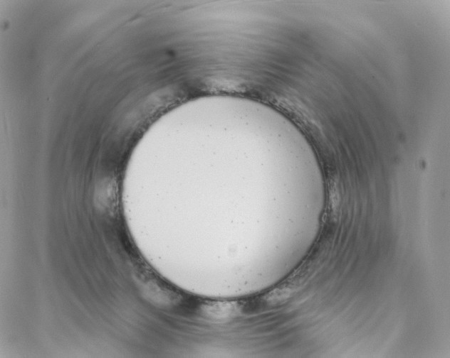 X0000088020079200706011335