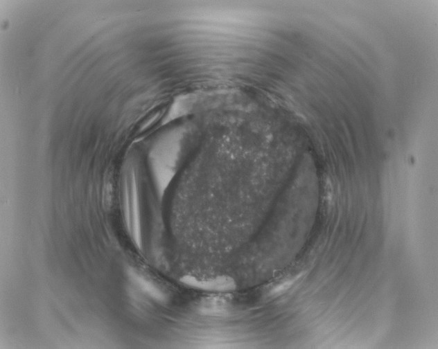 X0000088020080200706011335