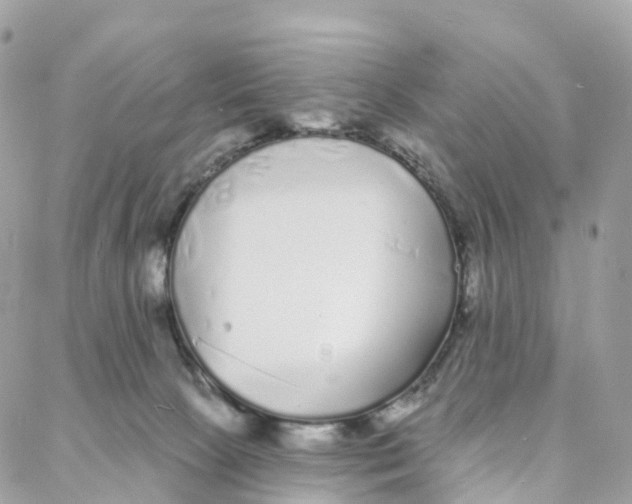 X0000088020081200706011335