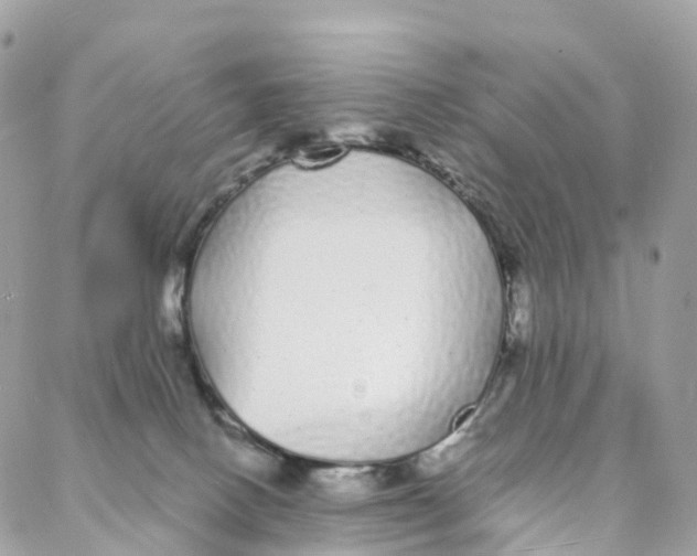 X0000088020082200706011335