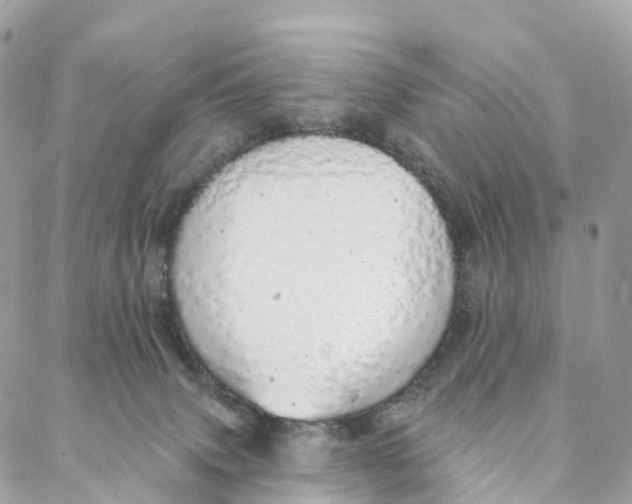 X0000088020083200706011335