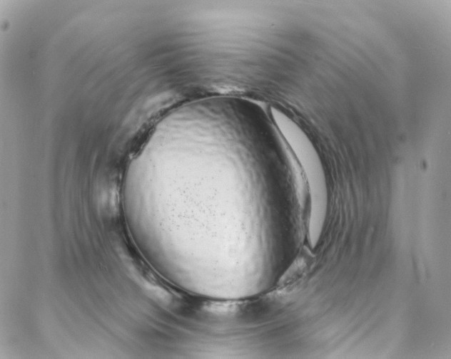 X0000088020084200706011335