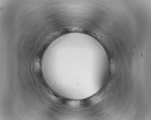 X0000088020085200706011335