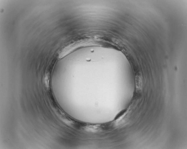 X0000088020086200706011335