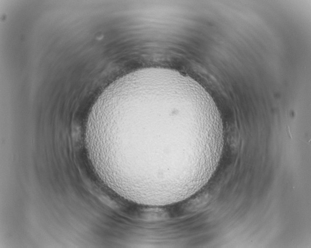 X0000088020087200706011335