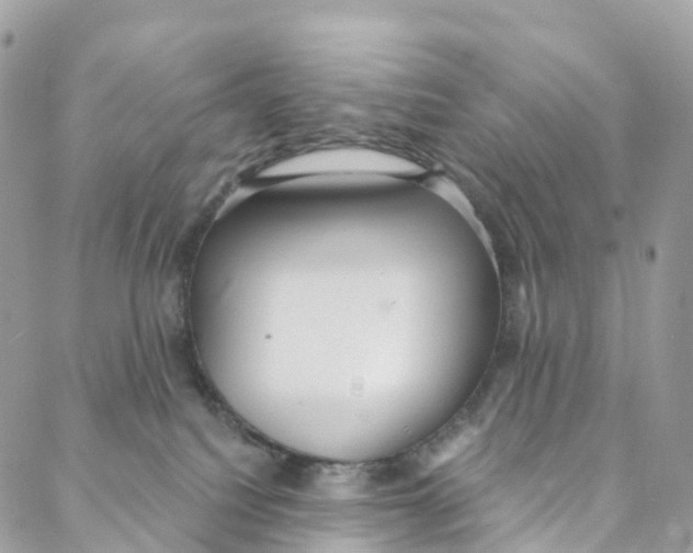 X0000088020088200706011335