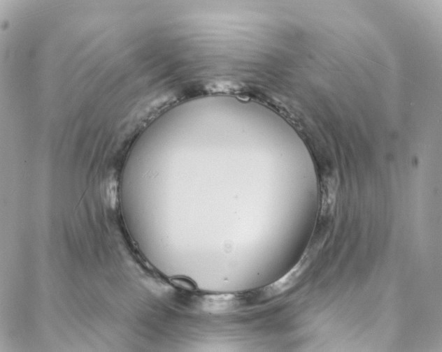 X0000088020090200706011335