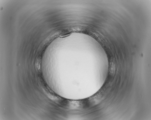 X0000088020091200706011335