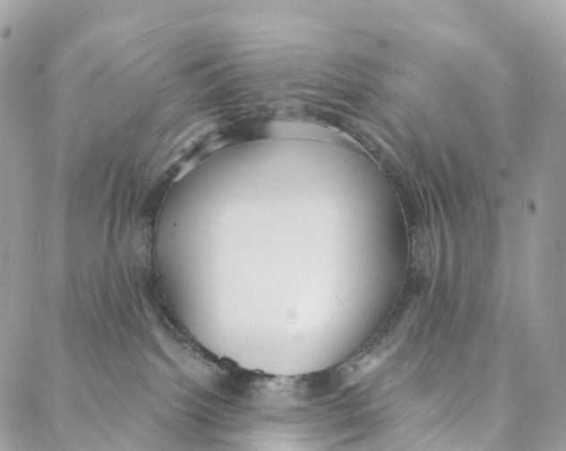 X0000088020092200706011335