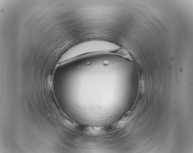 X0000088020093200706011335