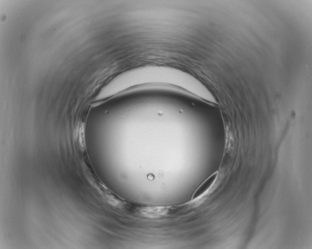 X0000088020094200706011335