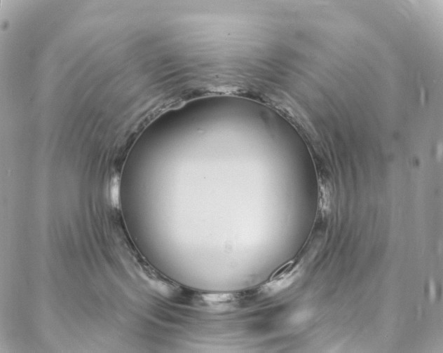 X0000088020095200706011335