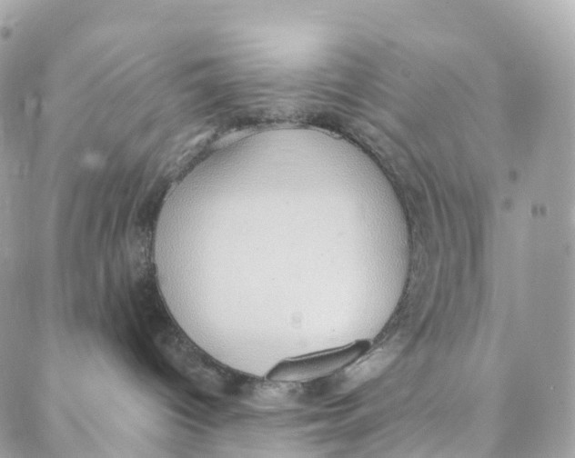 X0000088020096200706011335