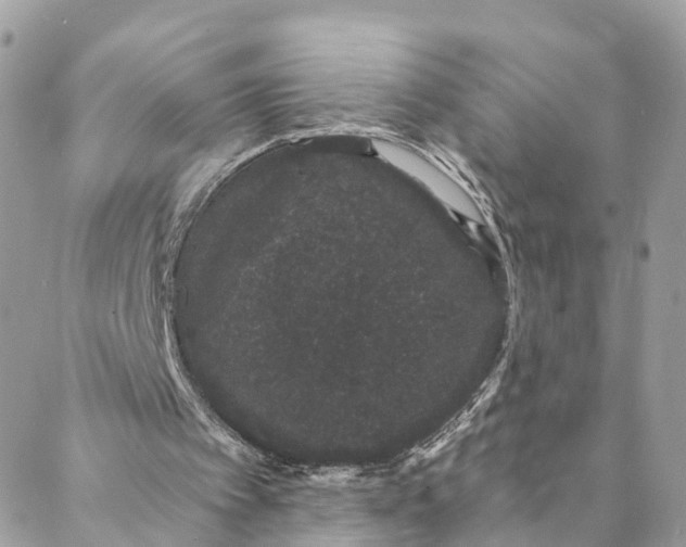 X0000088020097200706011335