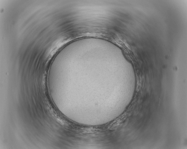 X0000088020098200706011334