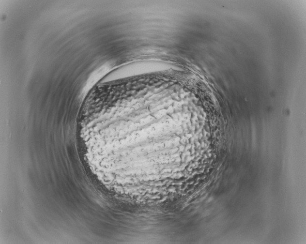 X0000088020099200706011334