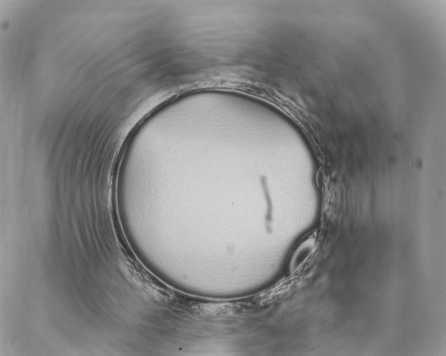 X0000088020100200706011334