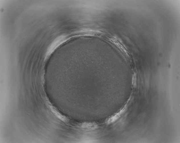 X0000088020101200706011334