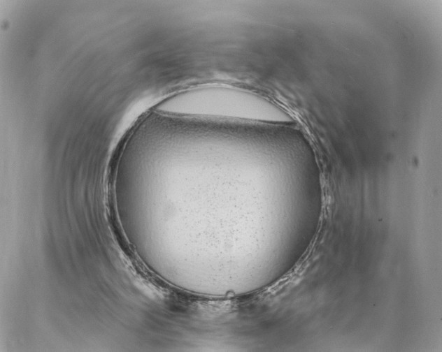 X0000088020102200706011334