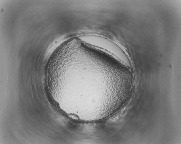 X0000088020103200706011334