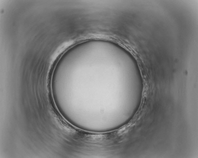 X0000088020104200706011334