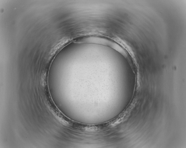 X0000088020105200706011334