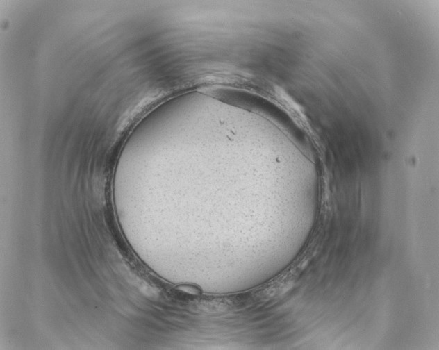 X0000088020106200706011334