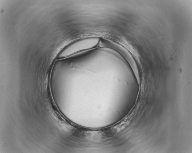 X0000088020107200706011334