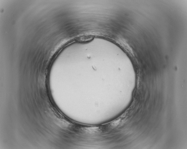 X0000088020108200706011334