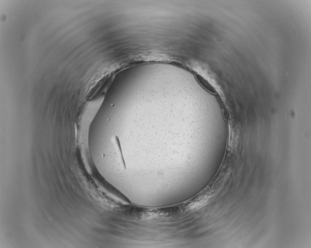 X0000088020109200706011334