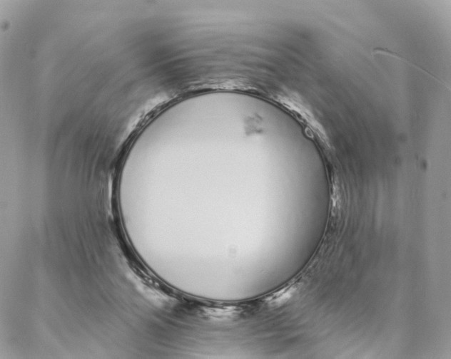 X0000088020110200706011334