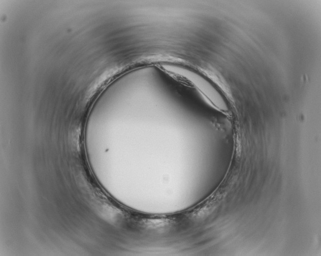 X0000088020111200706011334