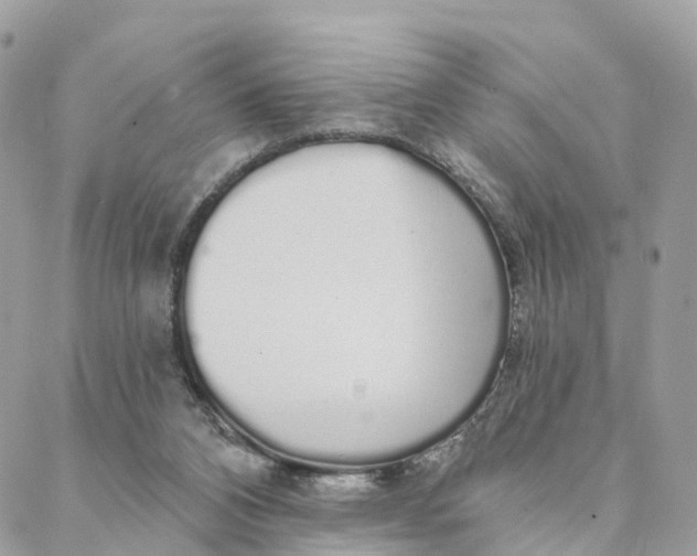 X0000088020112200706011334