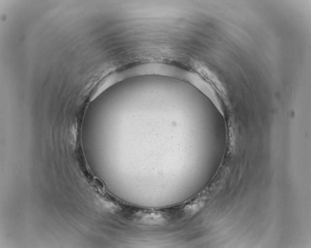 X0000088020113200706011334