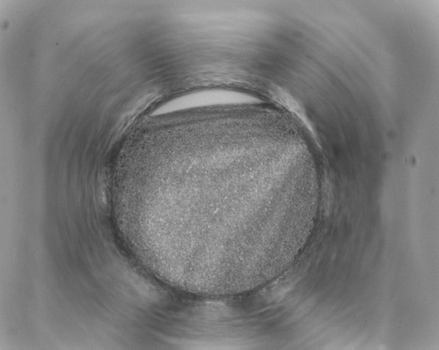 X0000088020114200706011334