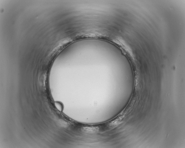 X0000088020115200706011334