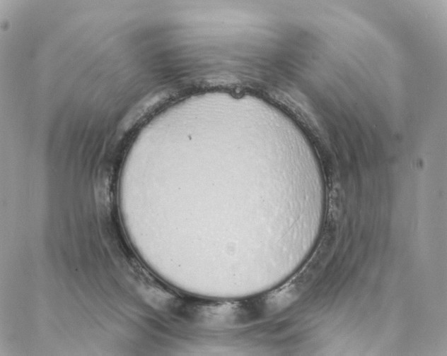 X0000088020116200706011334