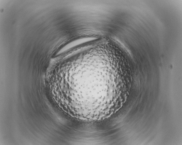 X0000088020117200706011334