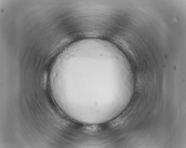 X0000088020118200706011334